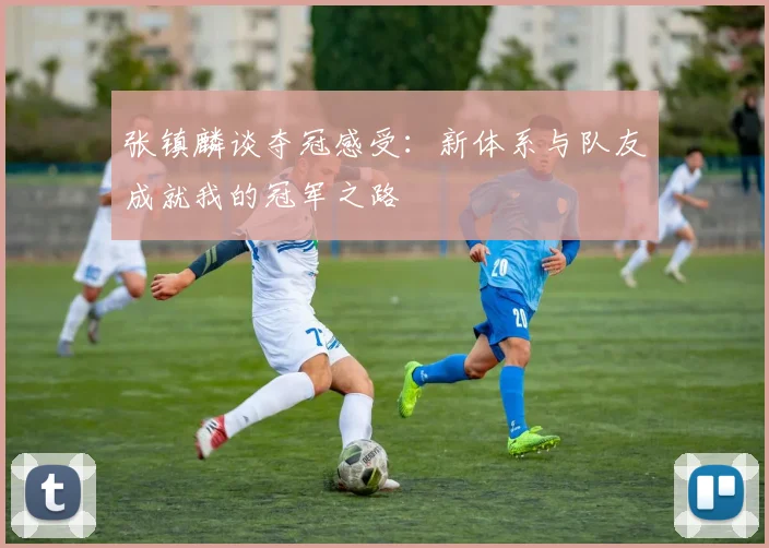 张镇麟谈夺冠感受：新体系与队友成就我的冠军之路