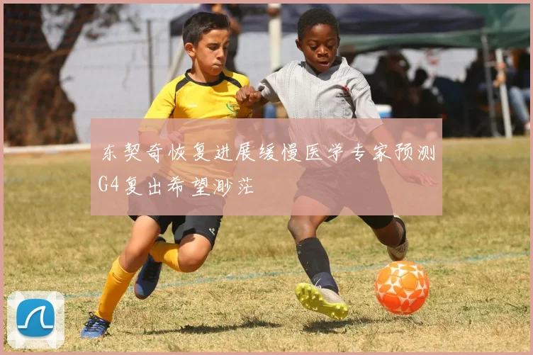 东契奇恢复进展缓慢医学专家预测G4复出希望渺茫
