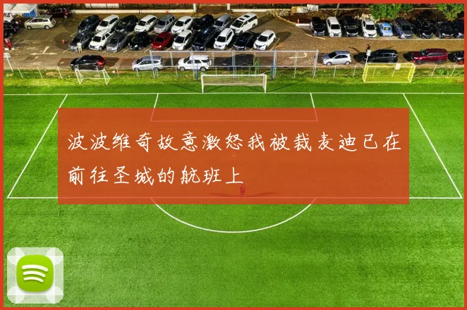 波波维奇故意激怒我被裁麦迪已在前往圣城的航班上