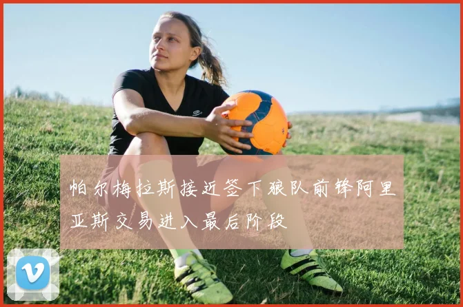 帕尔梅拉斯接近签下狼队前锋阿里亚斯交易进入最后阶段