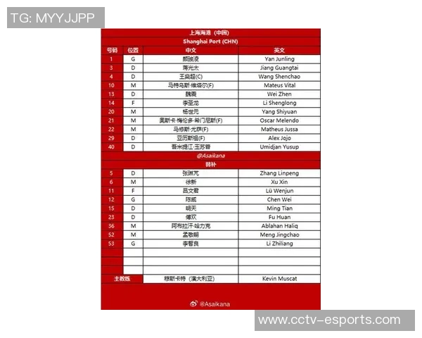 海港队2025中超联赛与亚冠精英联赛11月赛程全解析与展望