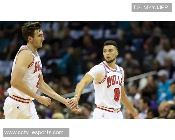 蒂格期待莫兰特与三球健康出战超60场比赛展现实力